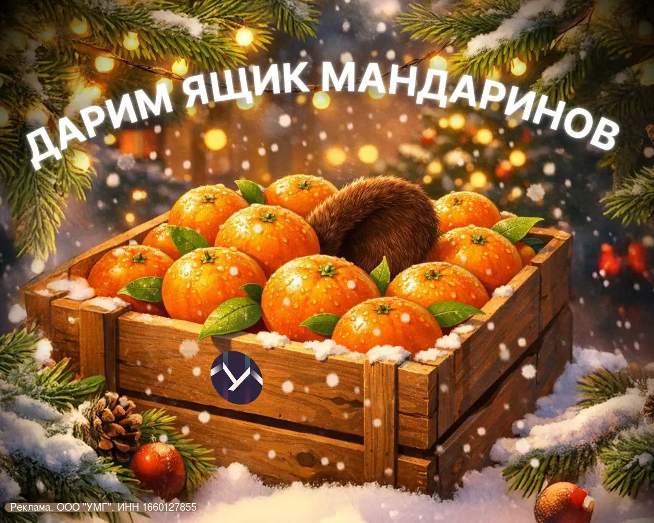 Розыгрыш ящика мандаринов