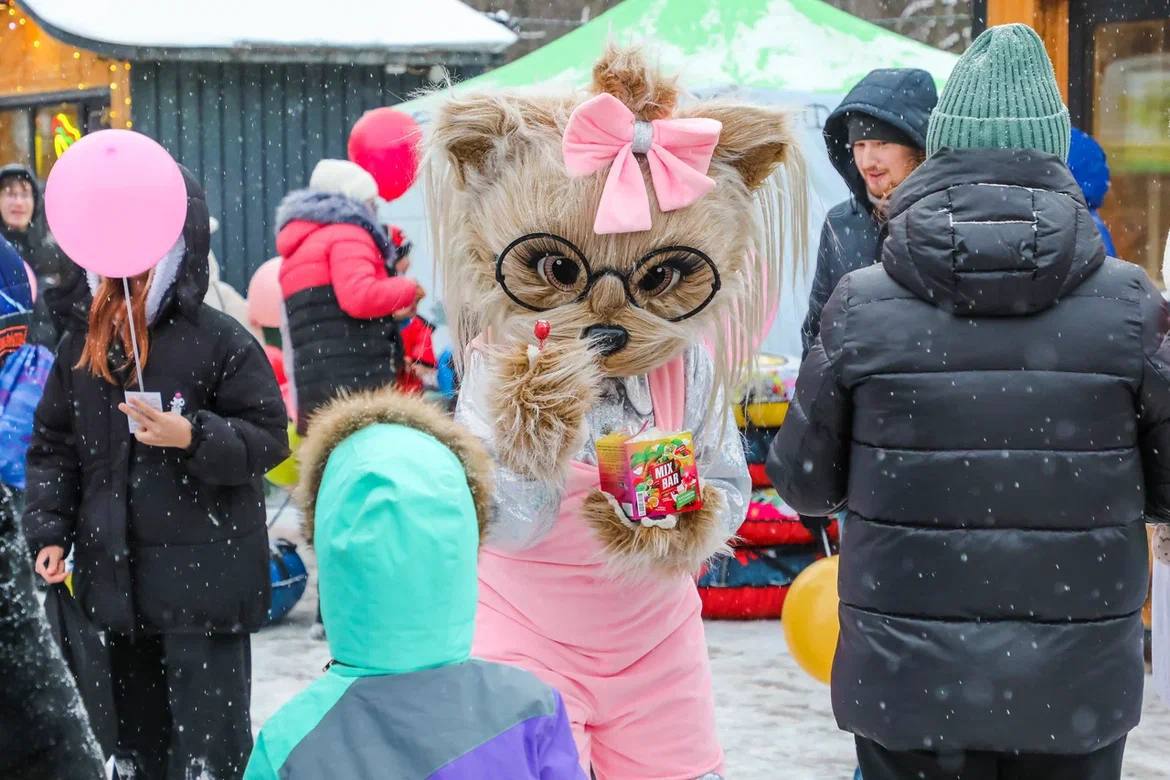 Ратмир Мавлиев: первая городская акция в поддержку четвероногих друзей