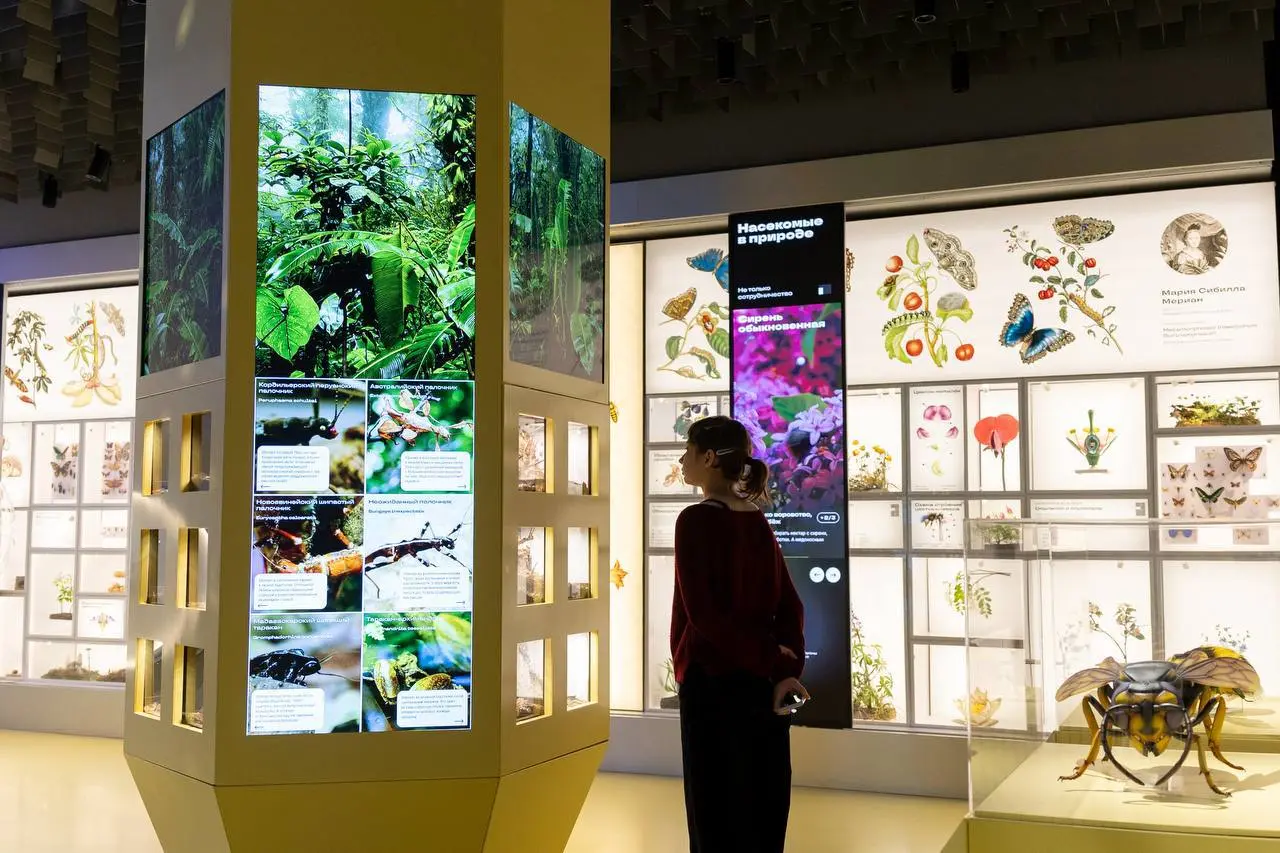 Экскурсия по экспозиции "Жужжащий мир" о насекомых