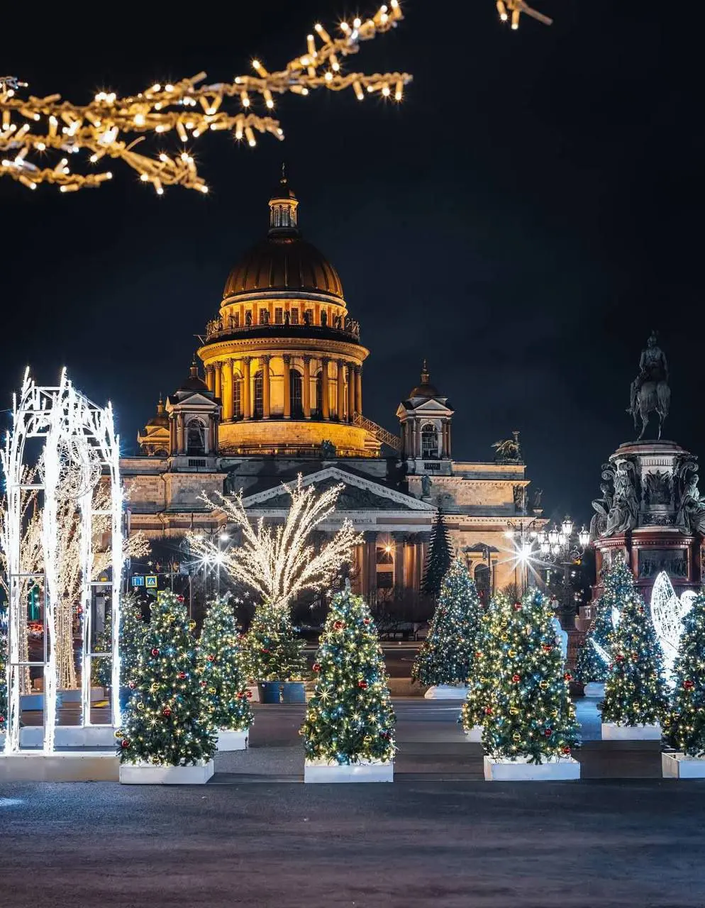 Сезонная инсталляция Зимний сад в центре города