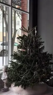 Специальное предложение на абонементы для танцев CHRISTMAS JOY