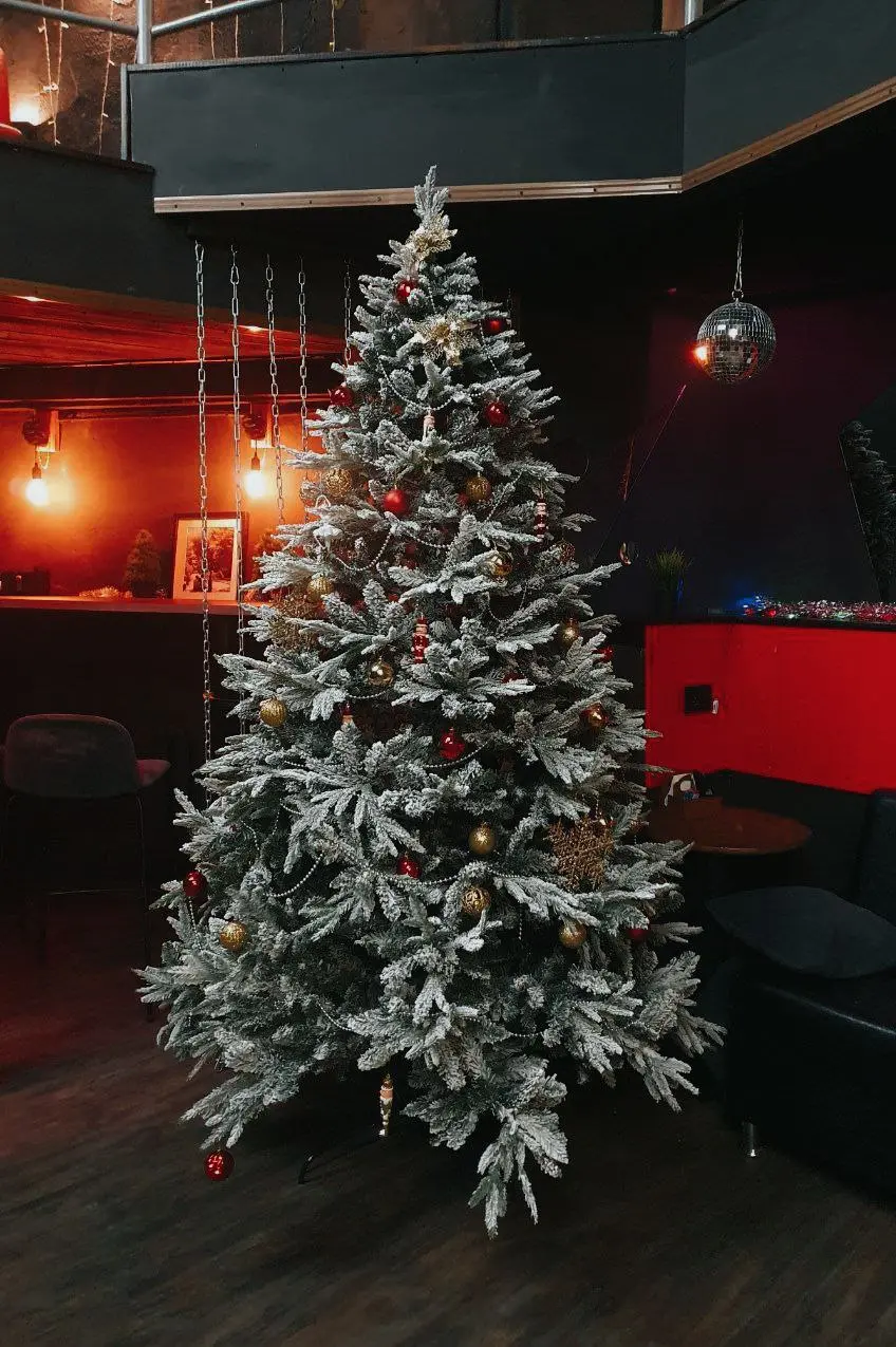 Фотосессия по случаю Новогодней Шибари