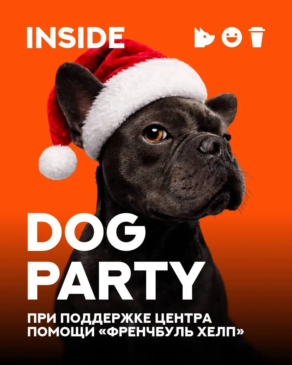 Вечеринка для собак в Inside