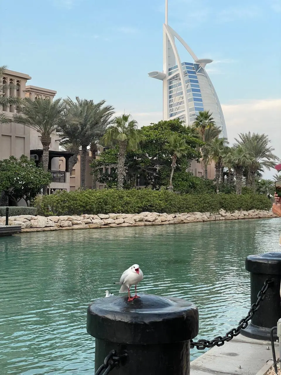 Зимний фестиваль шопинга в Шардже