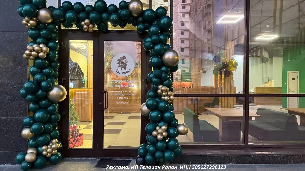 Посещение таймкафе с африканскими карликовыми ежиками