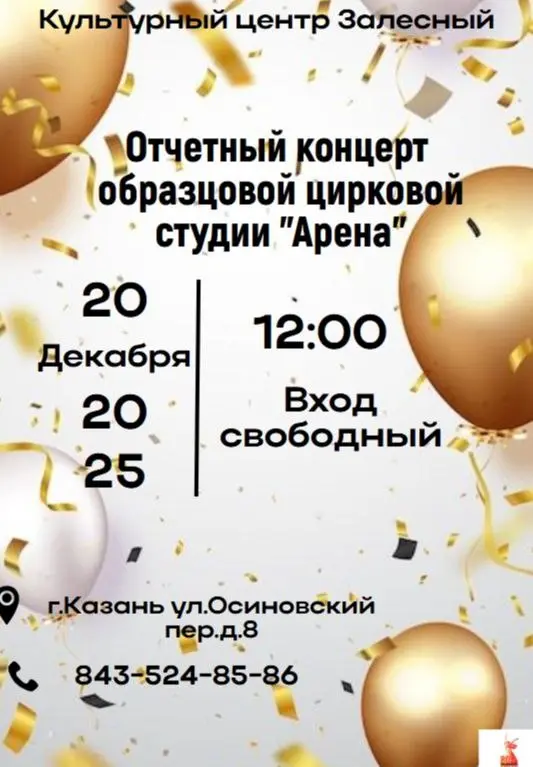 Отчетный концерт детской цирковой студии Арена