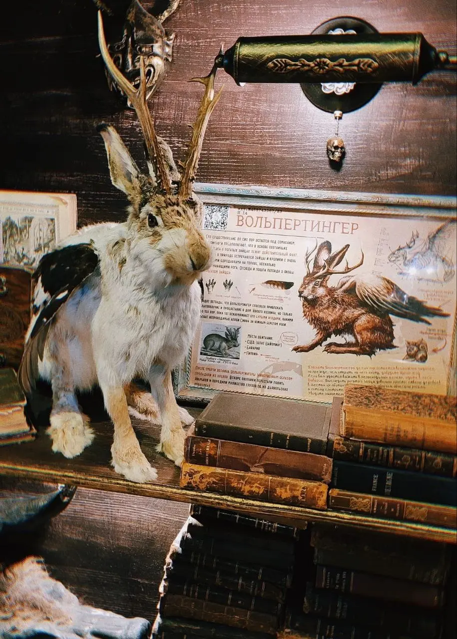 Посещение музея Бестиарий