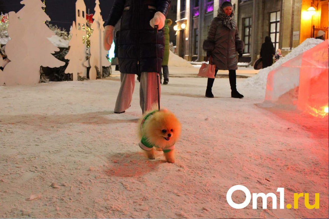 Зимний Любинский