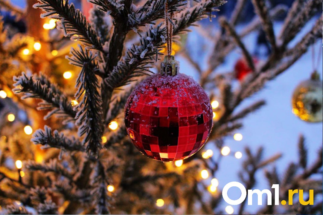 Зимний Любинский