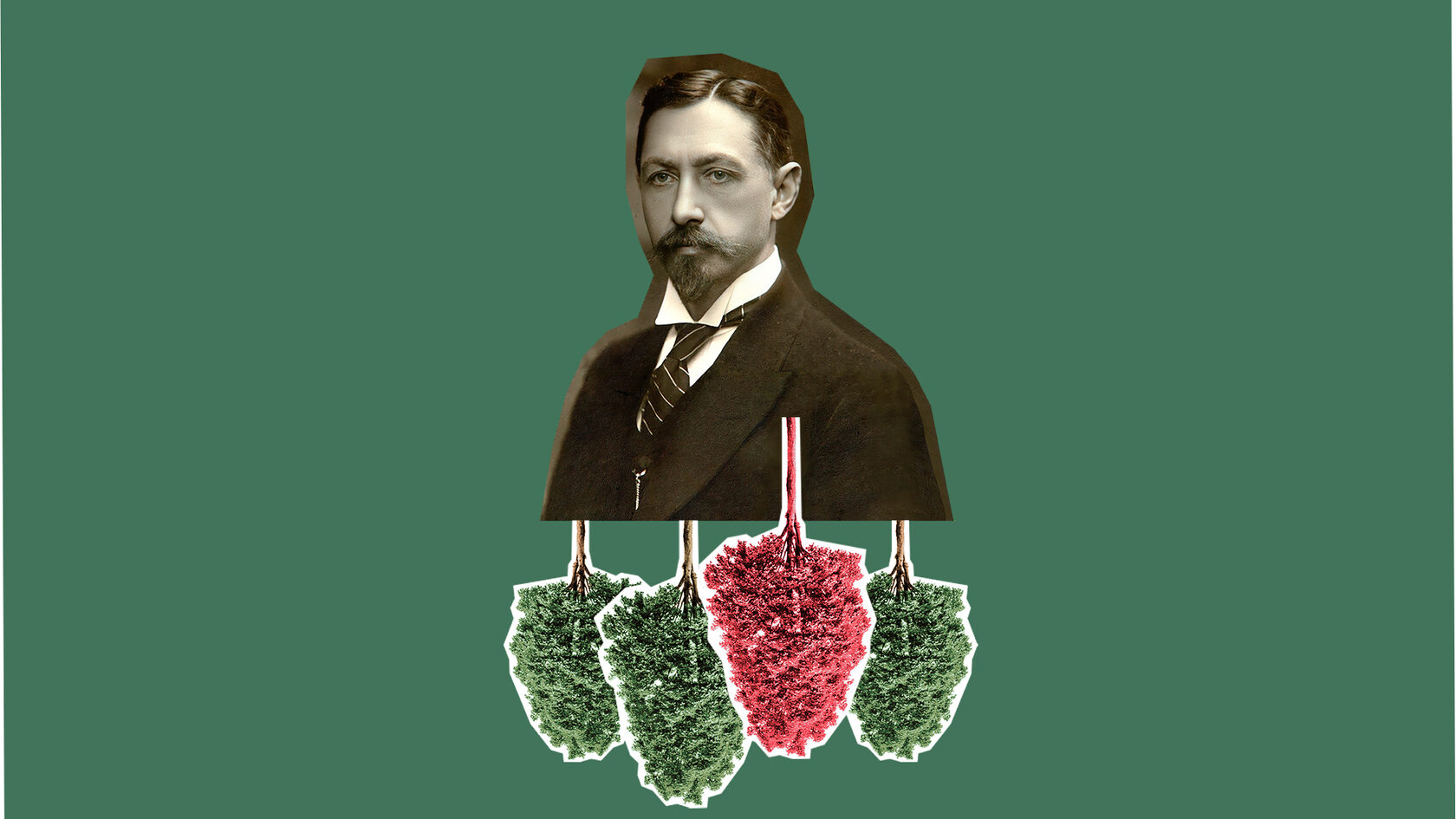 Бунин. Тёмные аллеи