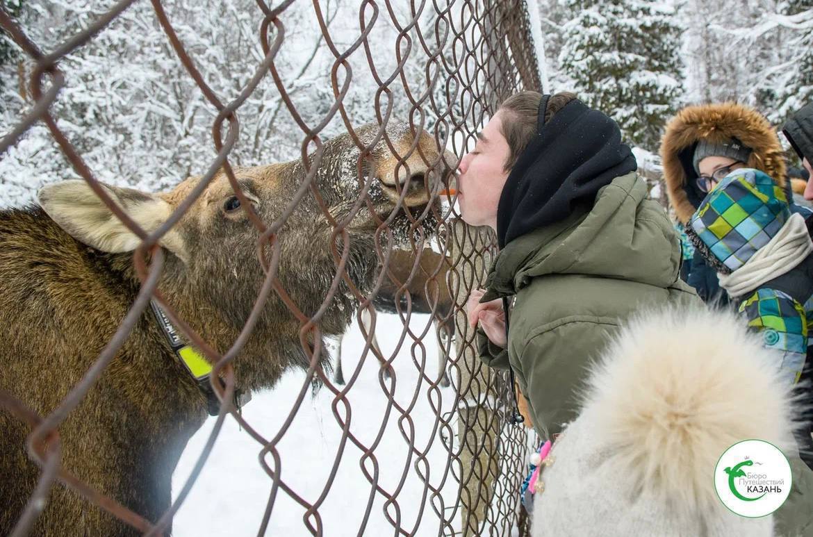 Поездка в Кострому на родину Снегурочки