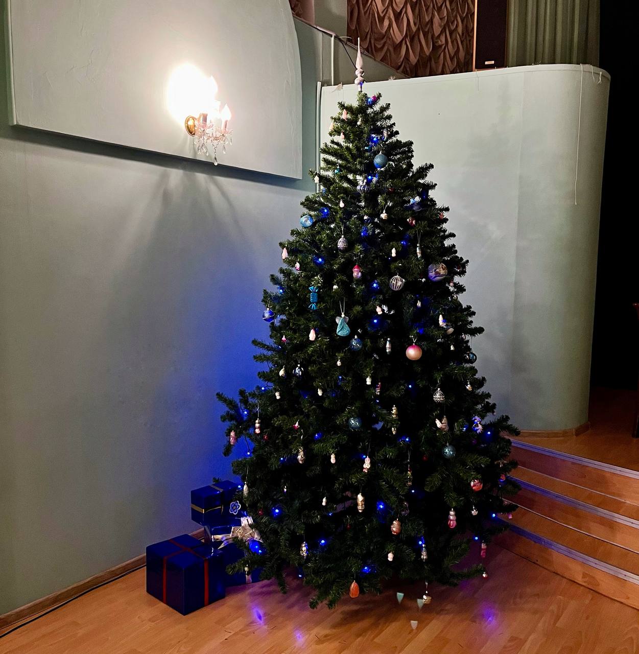 Новогодняя программа "Здравствуй, Ёлка - Новый год!"