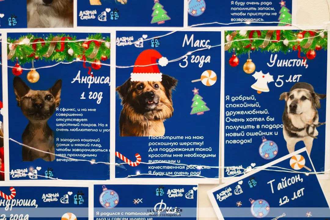 Бросок в самое сердце