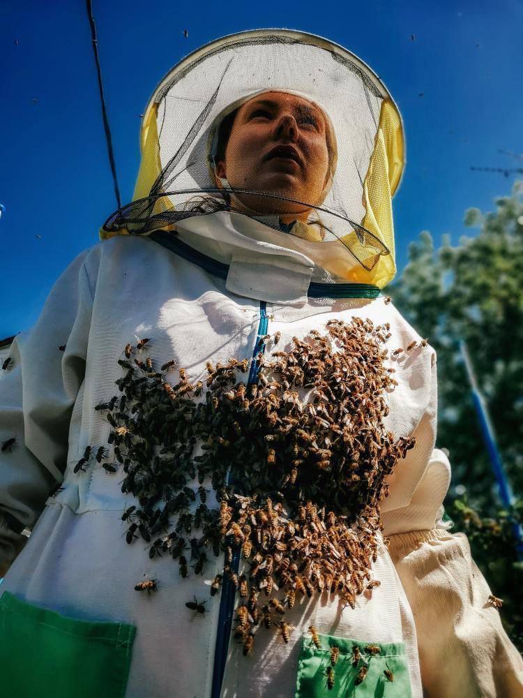 Пчеловод, которая всё делает не так