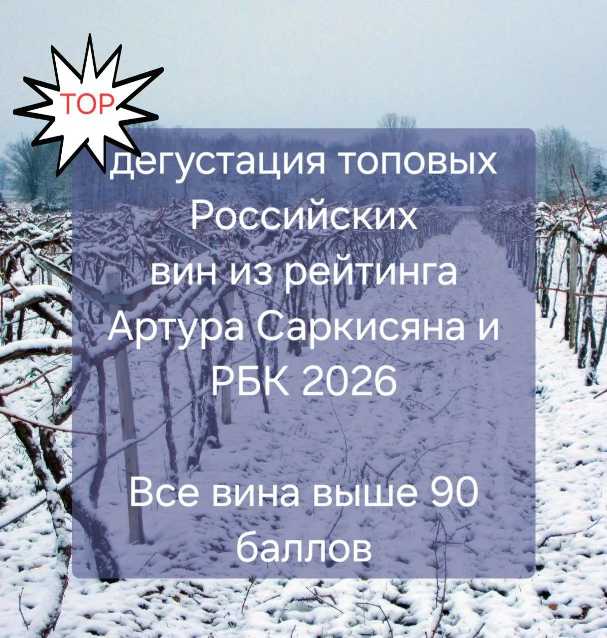 Дегустация топовых российских вин из рейтингов 2026