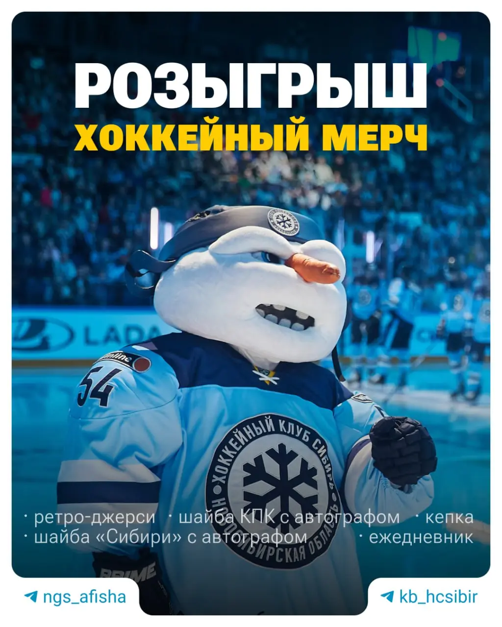 Розыгрыш хоккейного мерча