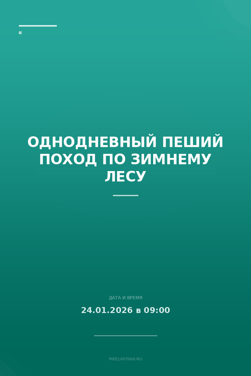 Однодневный пеший поход по зимнему лесу