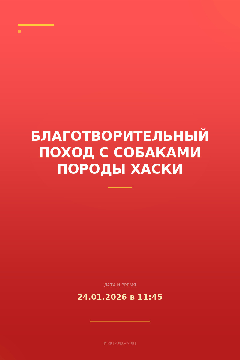 Благотворительный поход с собаками породы Хаски