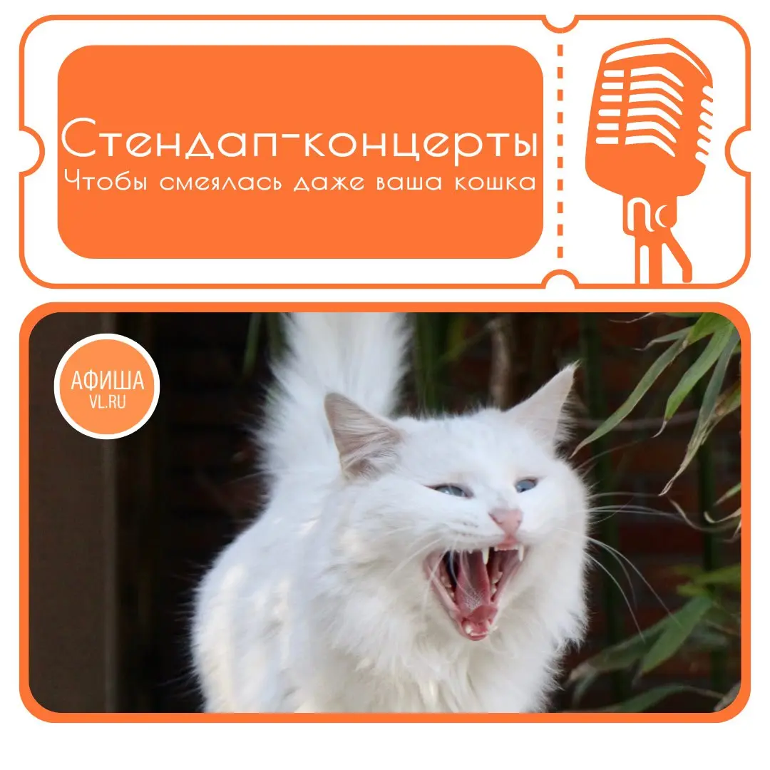 Стендап-концерты по мотивам YouTube комиков