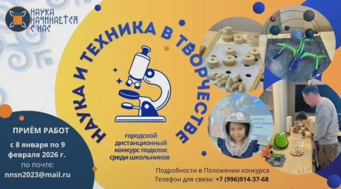 Дистанционный конкурс поделок 'Наука и техника в творчестве'