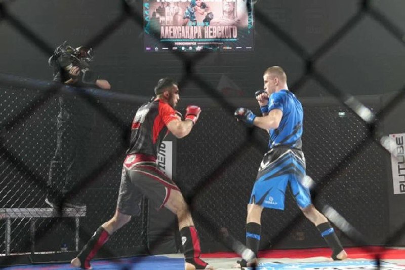 Кубок Александра Невского по ММА 2024