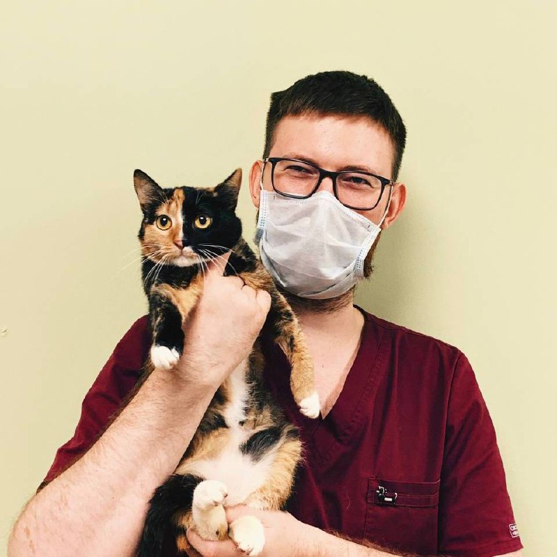 Животные в культуре и искусстве