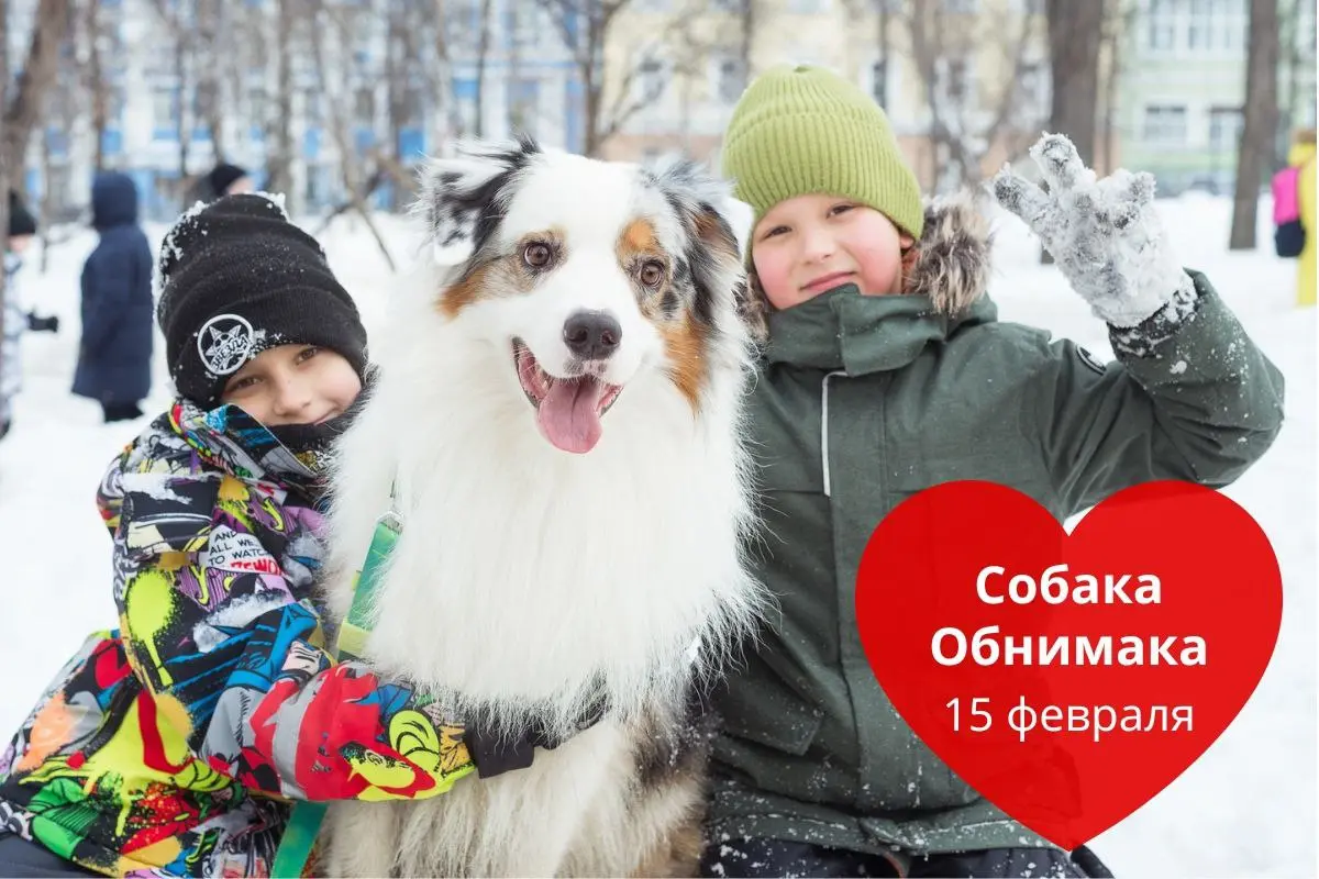 Акция Собака Обнимака