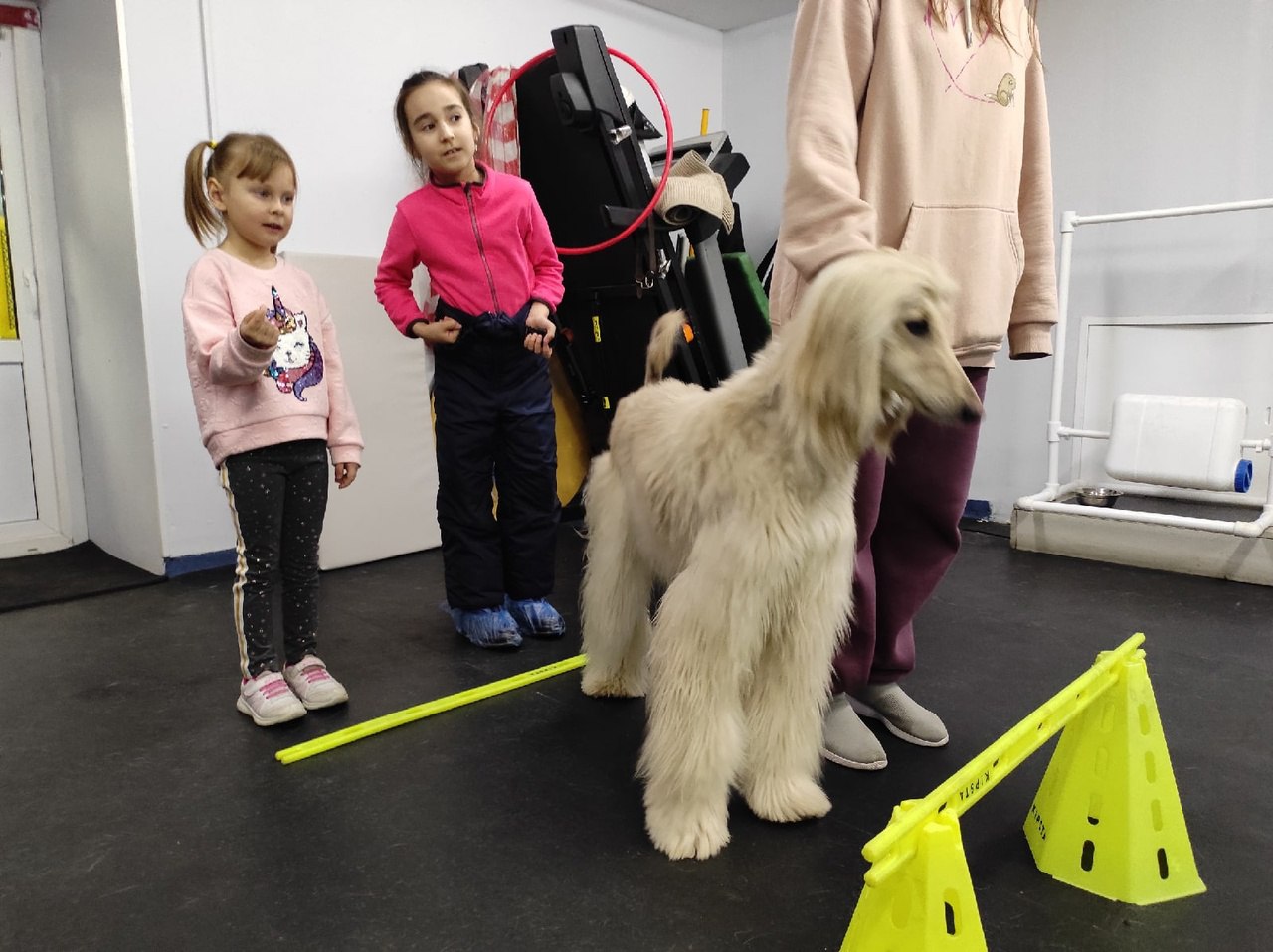 Экскурсия к кинологам