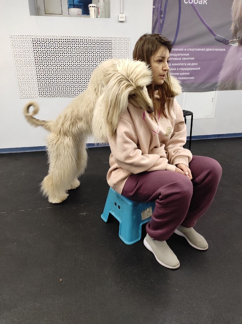 Экскурсия к кинологам