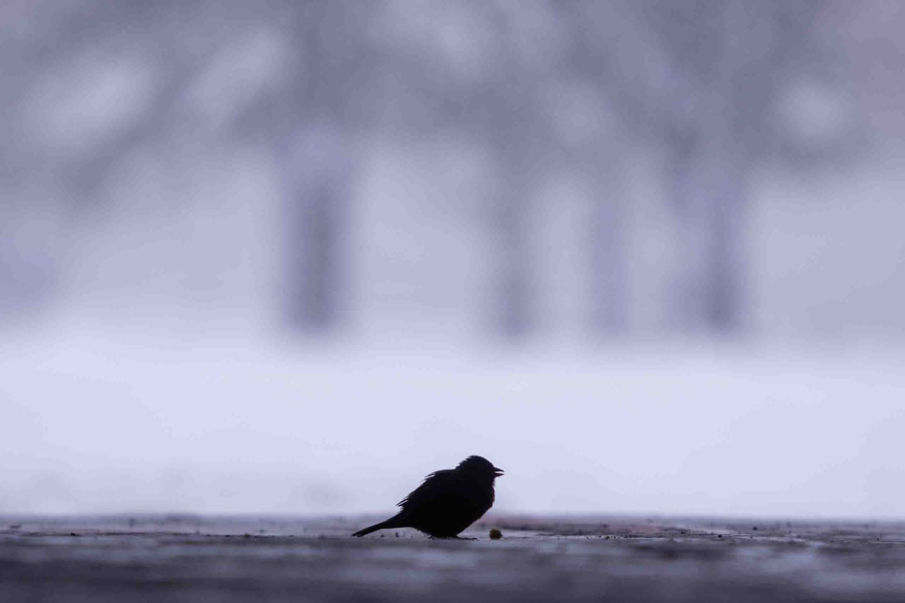 Концерт группы Magic Marginal