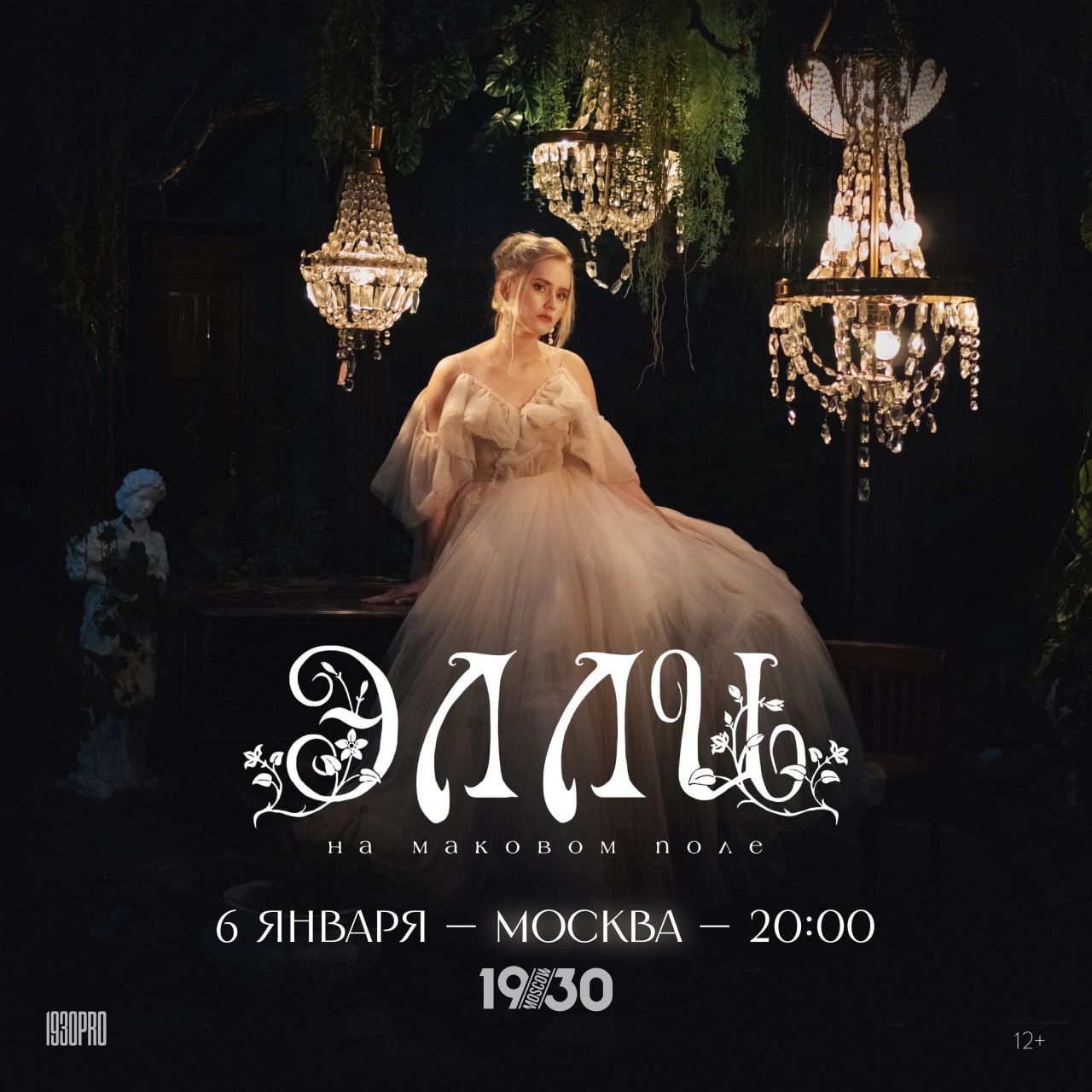 Элли на маковом поле