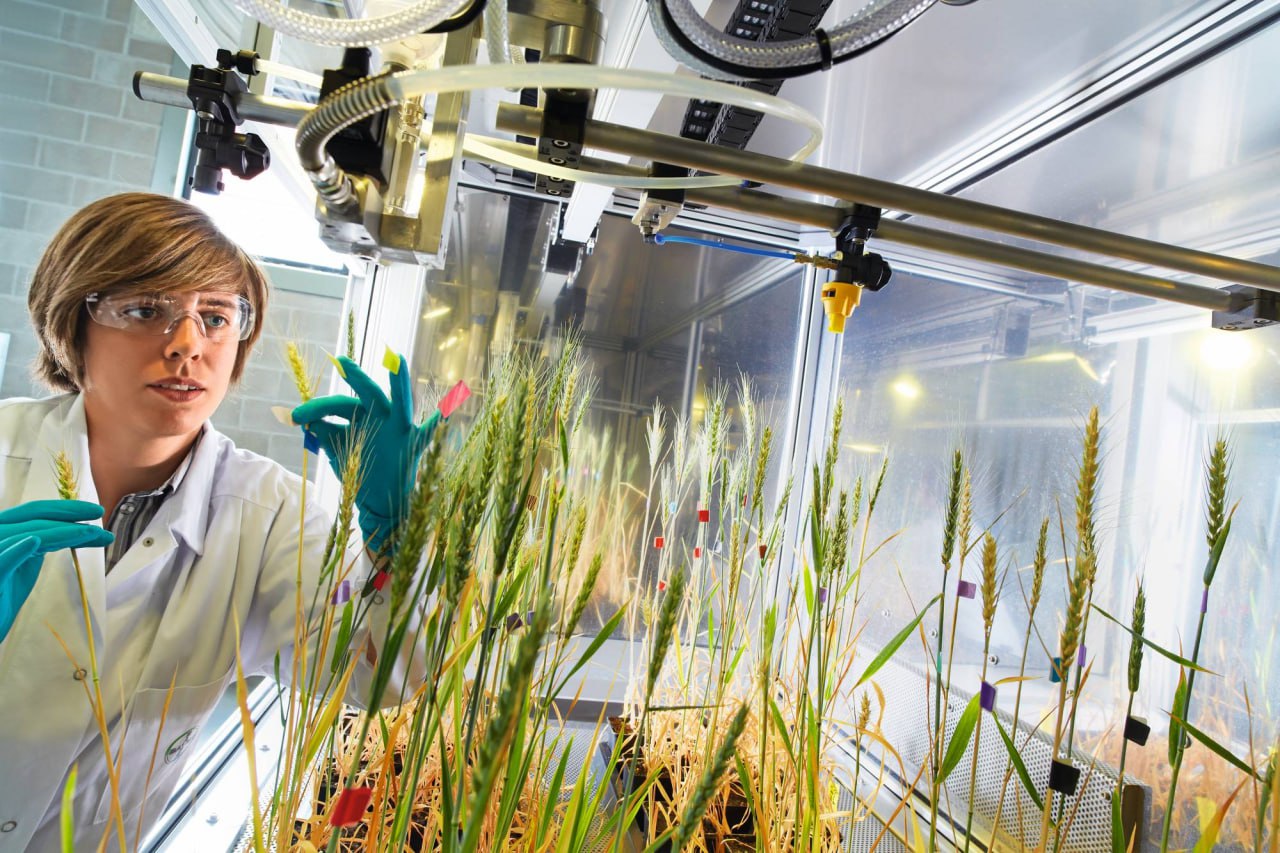 АгроКампус и Карьера