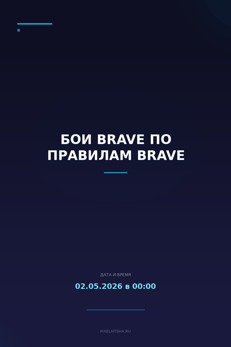 Бои BRAVE по правилам BRAVE