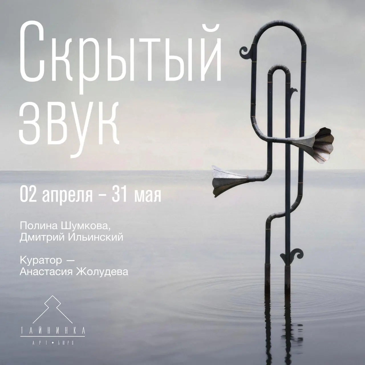 Выставка Скрытый звук