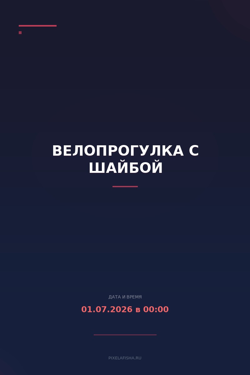 Велопрогулка с шайбой