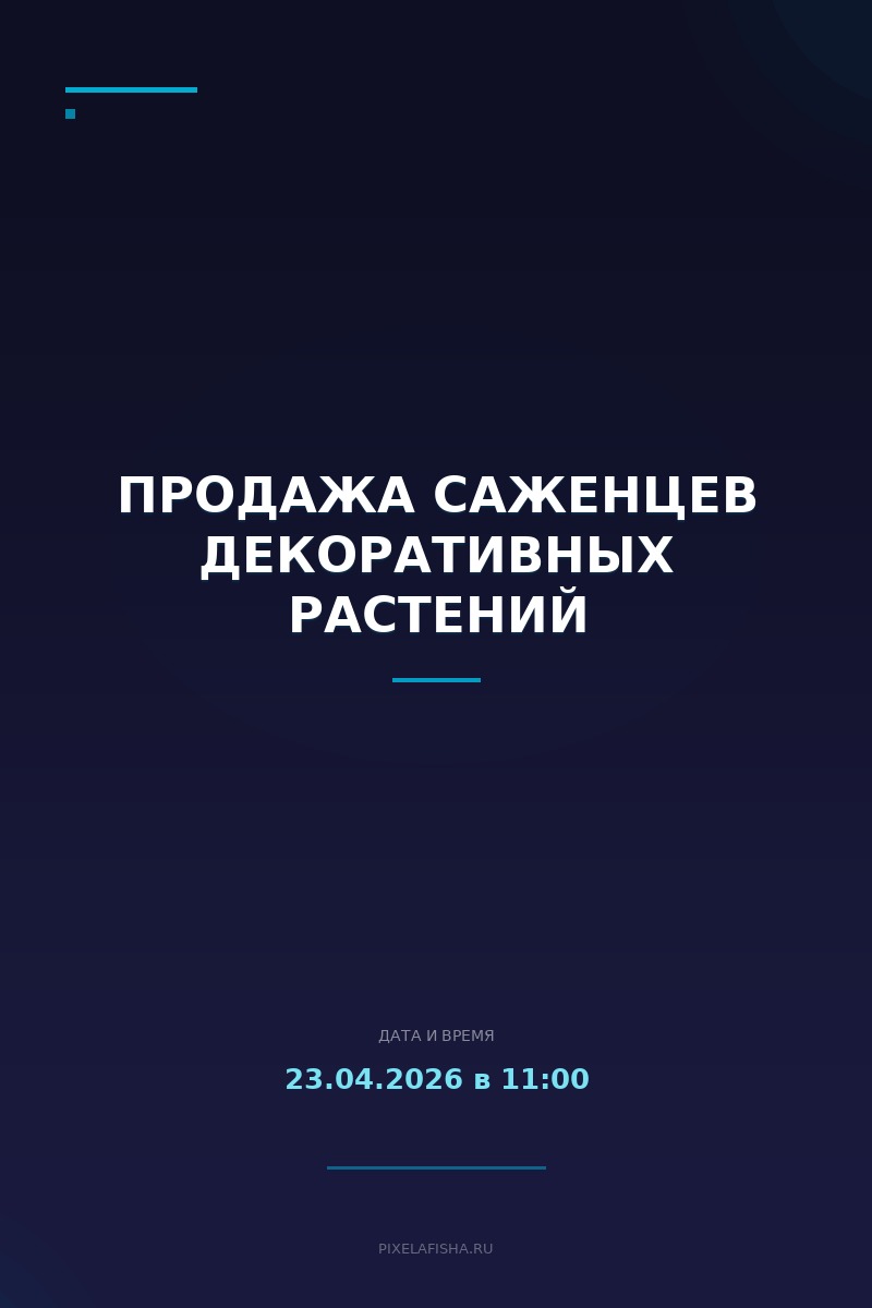 Продажа саженцев декоративных растений