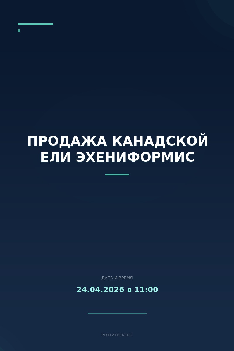 Продажа канадской ели Эхeниформис