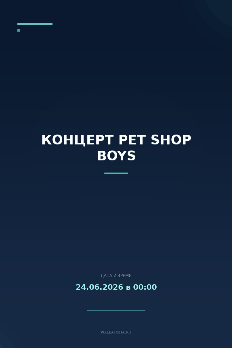 Концерт Pet Shop Boys