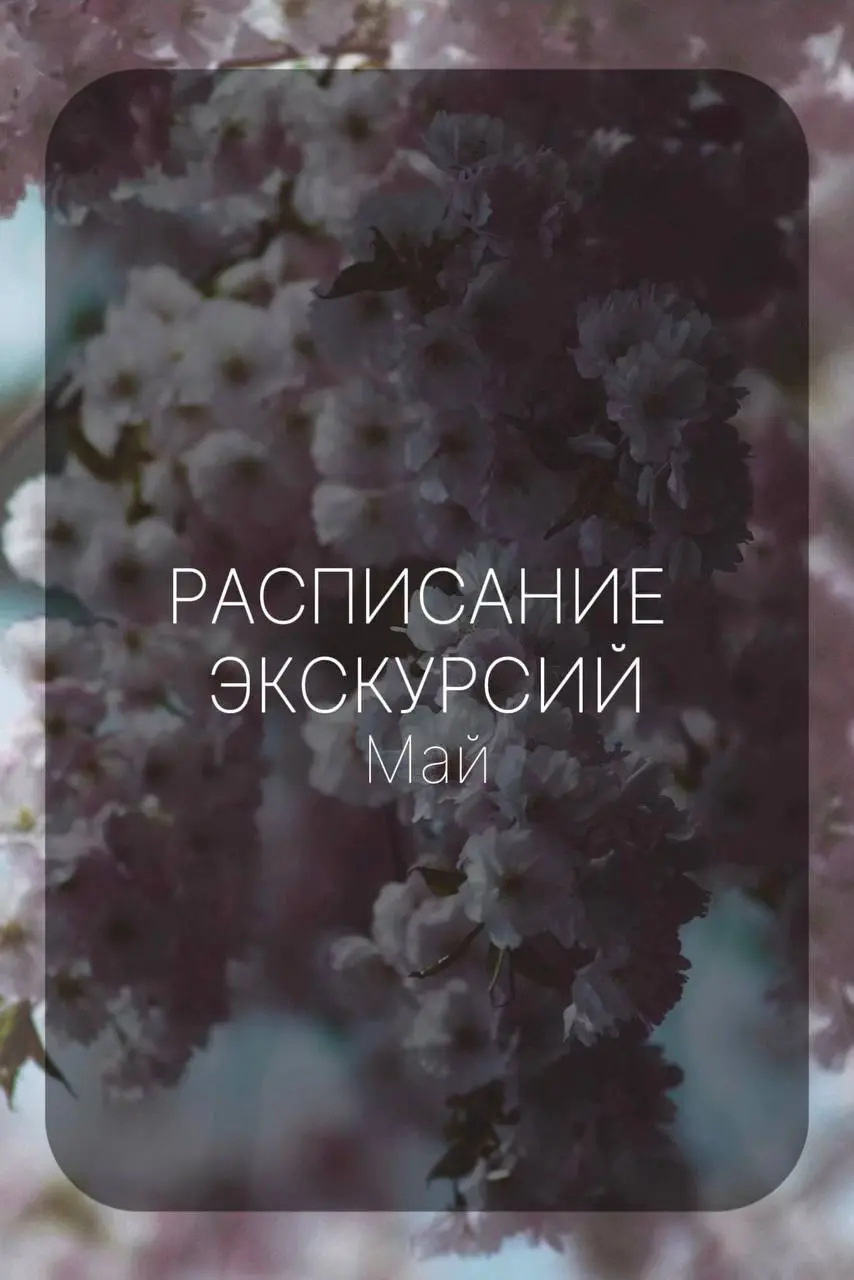 Расписание экскурсий и квестов