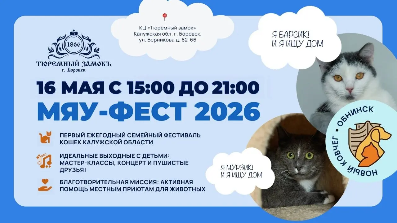 Семейный фестиваль кошек МЯУ-ФЕСТ 2026