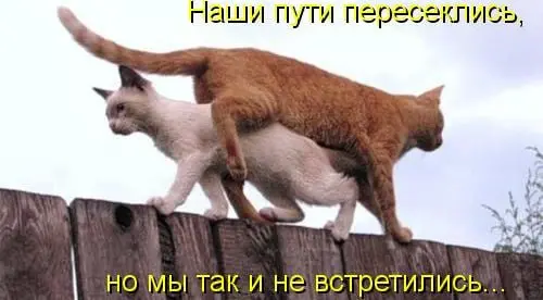 Лекция о построении здоровых отношений