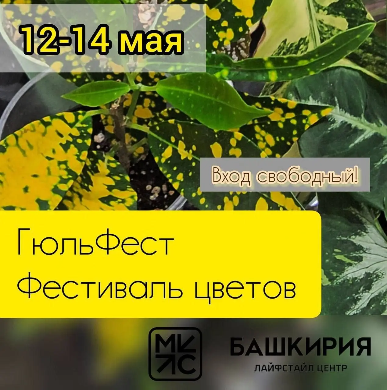 Фестиваль цветов ГюльФест