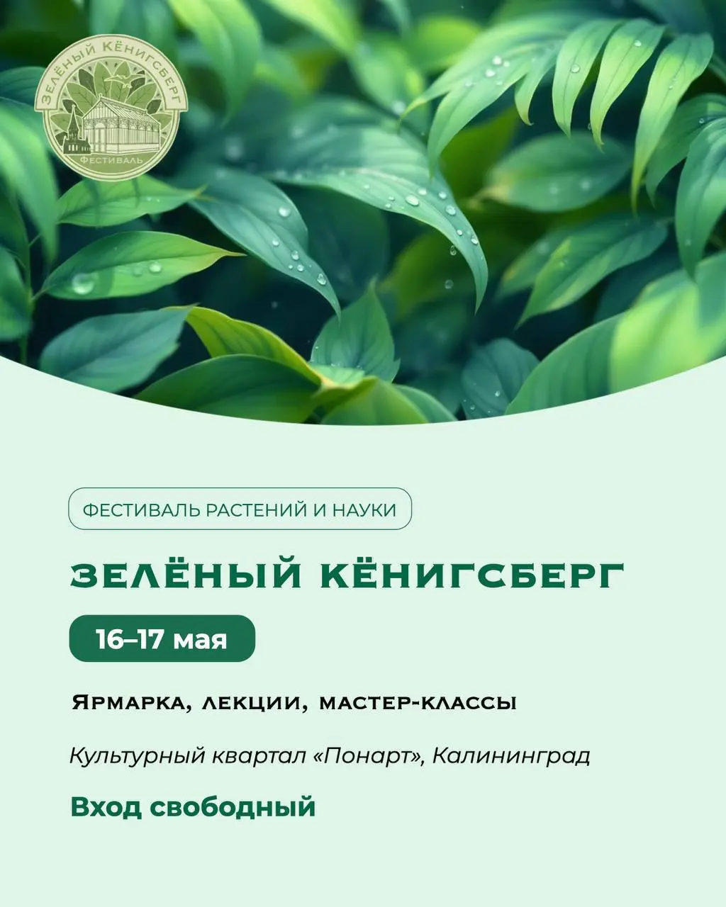 Фестиваль растений и науки Зелёный Кёнигсберг
