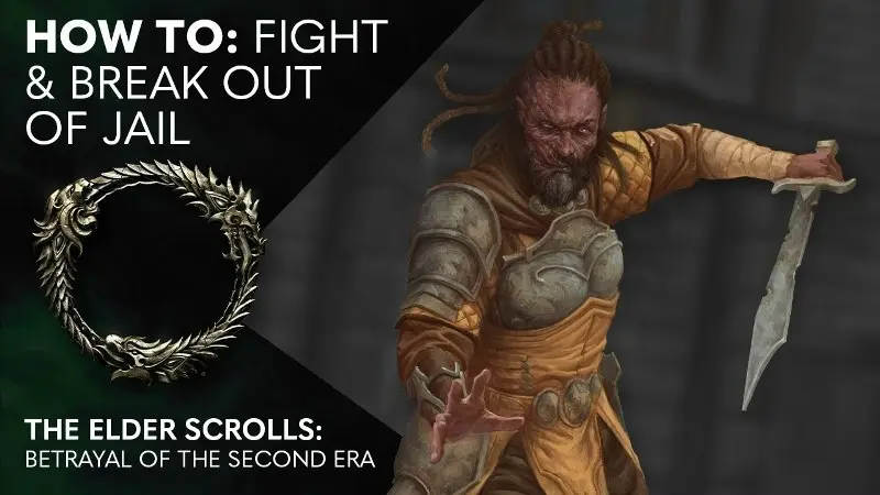 Обучающие ролики по настольной игре The Elder Scrolls: Предательства Второй эры