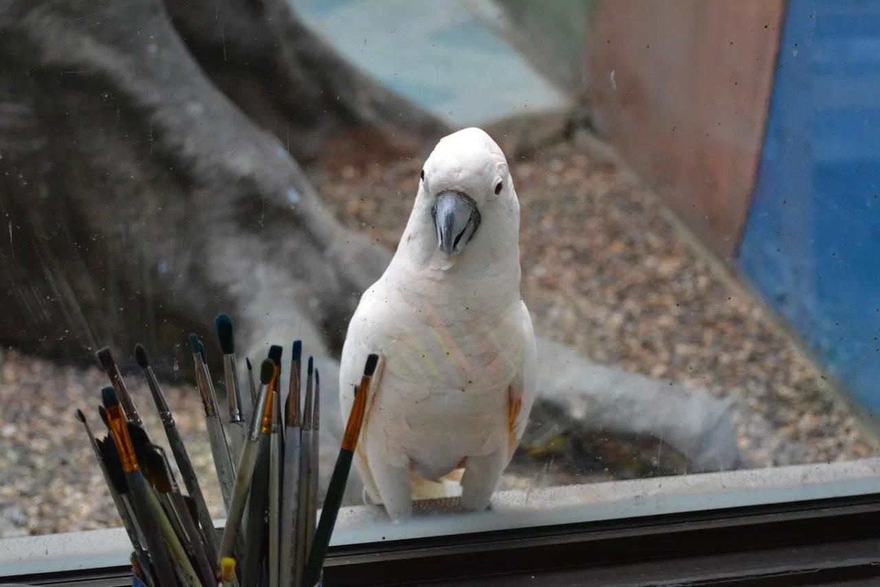 Мастер-классы по лепке и живописи