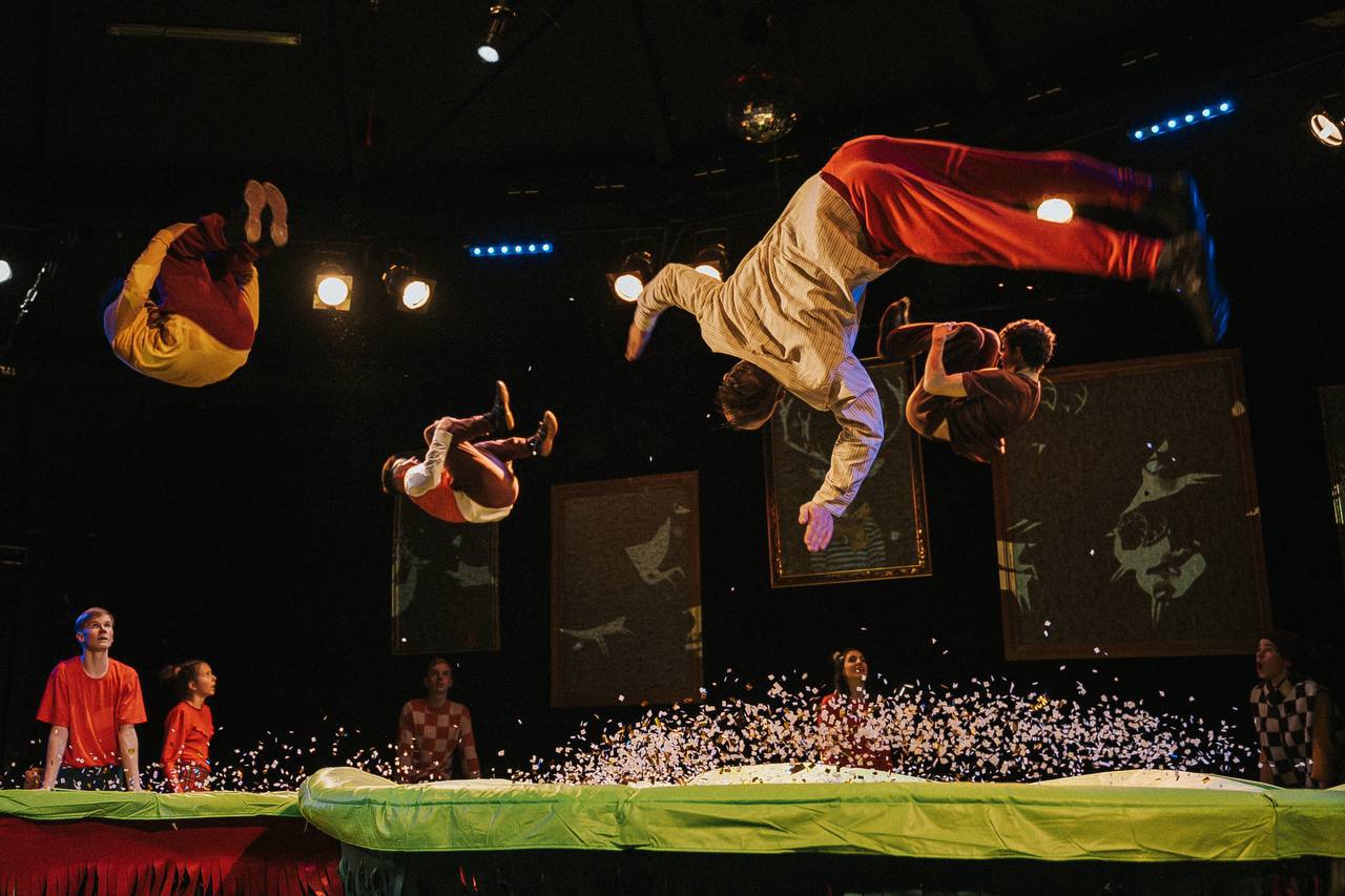 Новогодняя программа в Упсала-Цирке