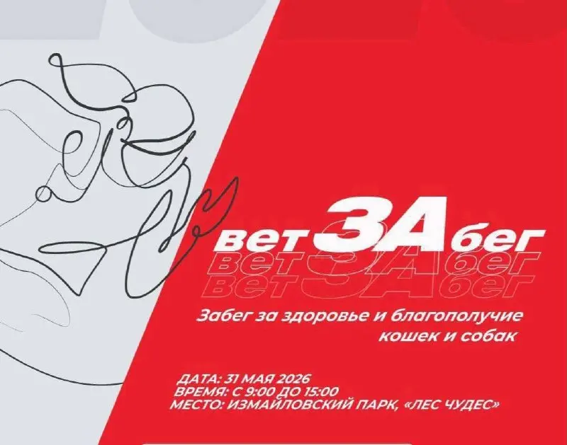 Благотворительный забег ВетЗаБег