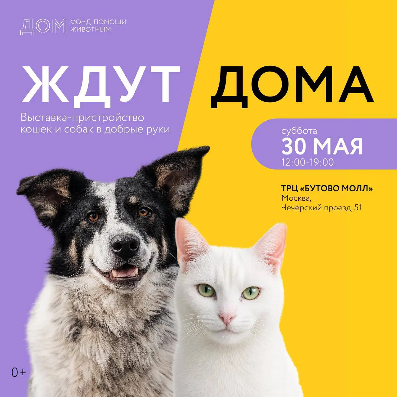 Выставка-пристройство животных из приютов