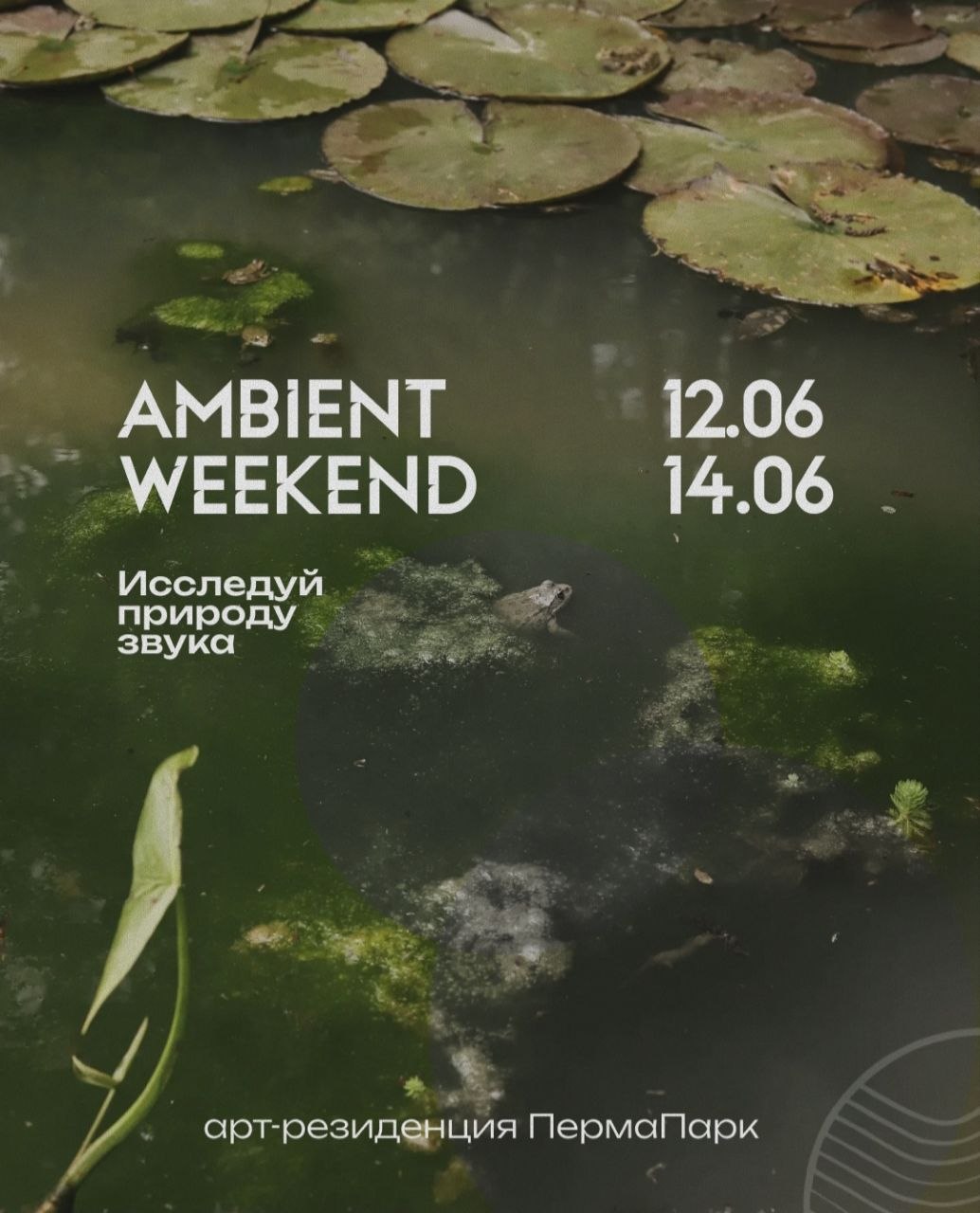 Мастер-класс по созданию ambient-треков из звуков природы