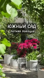 Прогулка по цветущему саду рододендронов